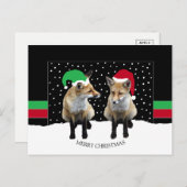 フェスティバルキツネクブスホリデーハガキ シーズンポストカード (正面/裏面)