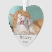 フェスティバルキャットペットキープサケフォトクリスマスホリデー オーナメント (正面)
