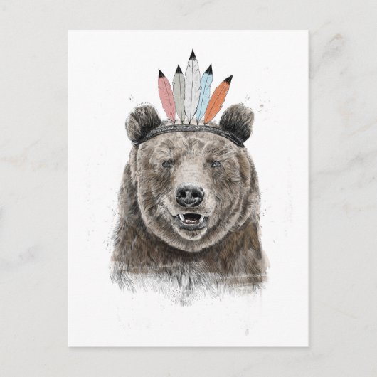 フェスティバルクマ ポストカード (正面)