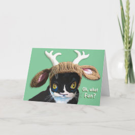 フェスティバルクリスマスキャット カード