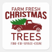 フェスティバルクリスマスツリーファームのビジネステッカー スクエアシール (正面)