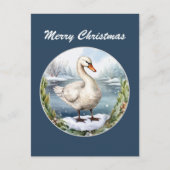 フェスティバルクリスマスホリデーウォーターカラースワン シーズンポストカード (正面)