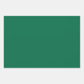 フェスティバルグリーンシャームロックサンパトリックスデイセット3 ラッピングペーパーシート (正面2)