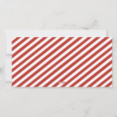 フェスティバルサンタハット2写真 シーズンカード (裏面)