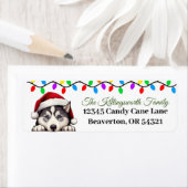 フェスティバルシベリアのハスキーのクリスマスレターラベル ラベル (インサイチュ)