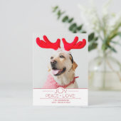 フェスティバルジョイ平和ラブレッドプレイド写真 ポストカード (スタンド正面)