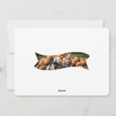 フェスティバルタイプレッドハッピー秋Y'all シーズンカード (裏面)