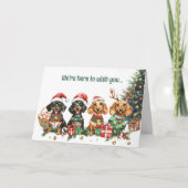 フェスティバルダシュンドドッグスクリスマスカード シーズンカード (正面)