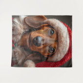 フェスティバルダックスシュントinサンタ タペストリー (正面(横))