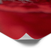 フェスティバルダックスシュントinサンタ ポスター (角)