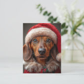 フェスティバルダックスシュントinサンタ ポストカード (スタンド正面)