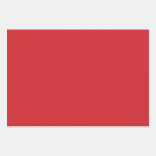 フェスティバルダルマティアンインサンタ ラッピングペーパーシート (正面2)