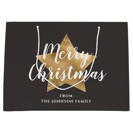 フェスティバルチューペブラウンスタークリスマス ラージペーパーバッグ (正面)