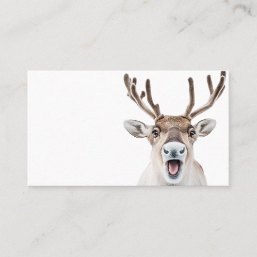フェスティバルトナカイの名刺と間抜け顔 名刺 (正面)