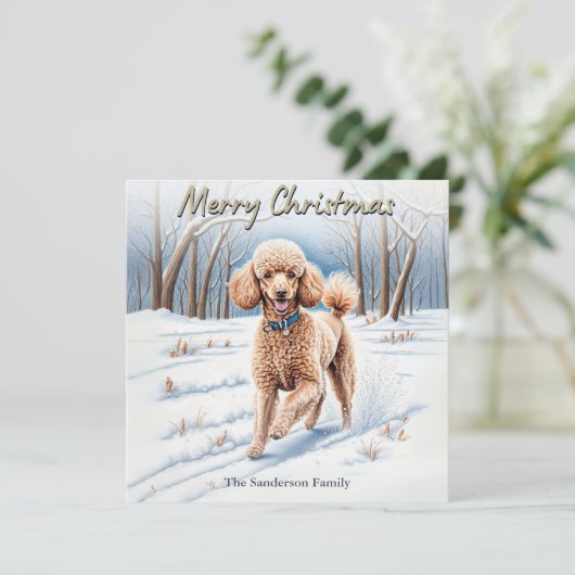 フェスティバルドッグの雪の水の色プードルクリスマス シーズンカード (スタンド正面)