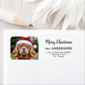 フェスティバルドッグフォトカスタム差出人住所 ラベル (インサイチュ)