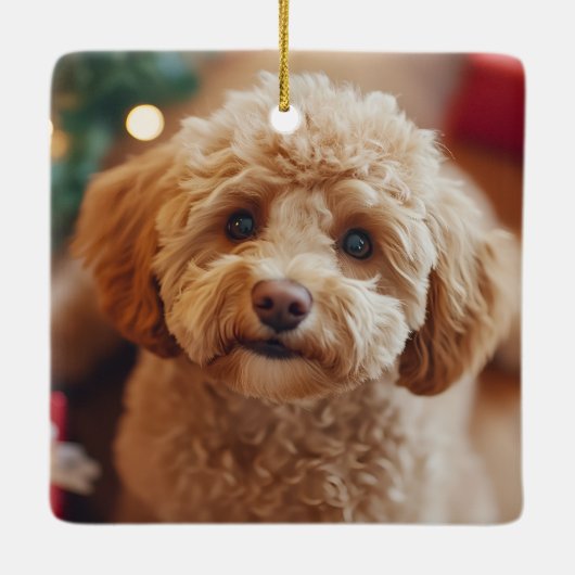 フェスティバルドッグフォトクリスマスレッドポインセチアフローラ セラミックオーナメント (裏面)