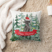 フェスティバルハッピーハウリデイズブラックラボドッグ クッション (ブランケット)