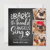 フェスティバルバークス |スクエアホリデーペットフォトカード シーズンカード (正面)