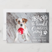 フェスティバルバークス |ペットの写真のホリデーカード シーズンカード (正面)