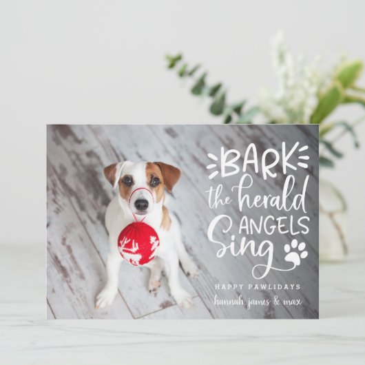 フェスティバルバークス |ペットの写真のホリデーカード シーズンカード (スタンド正面)