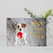 フェスティバルバークス |犬のペットの写真 箔シーズンカード (立ち正面)