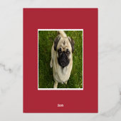 フェスティバルバークス |犬のペットの写真 箔シーズンカード (裏面)