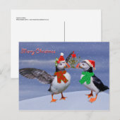 フェスティバルパフィンズはがき ポストカード (正面/裏面)