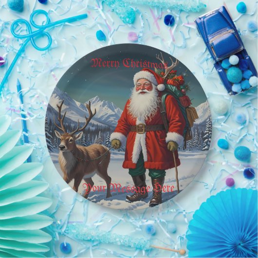 フェスティバルファーザークリスマスサンタ ペーパープレート (パーティー)