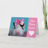 フェスティバルフェレット誕生日 カード (正面)