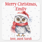 フェスティバルフクロウとサンタハット雪の結晶クリスマス スクエアシール (正面)