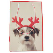 フェスティバルプップウィズトインデア〔雄ジカの〕枝角 ミディアムペーパーバッグ (正面)