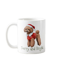 フェスティバルプードルフューリーアンドブライト