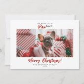 フェスティバルペットフォトメリークリスマススクリプト シーズンカード (正面)