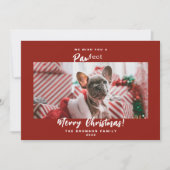 フェスティバルペットフォトメリークリスマスホリデーカード シーズンカード (正面)