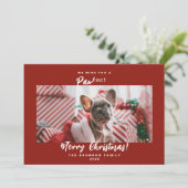 フェスティバルペットフォトメリークリスマスホリデーカード シーズンカード (スタンド正面)