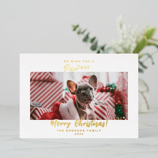 フェスティバルペットフォトメリークリスマス 箔シーズンカード (立ち正面)