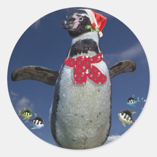 フェスティバルペンギンステッカー ラウンドシール (正面)