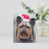 フェスティバルホリディポストカード シーズンポストカード (スタンド正面)