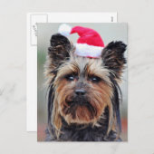 フェスティバルホリディポストカード シーズンポストカード (正面/裏面)