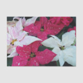 フェスティバルホリデーポインセチアプラントズフローラ 薄葉紙 (正面)