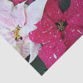 フェスティバルホリデーポインセチアプラントズフローラ 薄葉紙 (詳細)