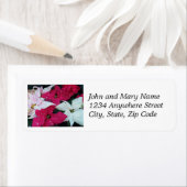 フェスティバルホリデーポインセティアスフローラ差出人住所 ラベル (インサイチュ)