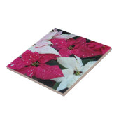 フェスティバルホリデーポインセティアスフローラ タイル (側面)