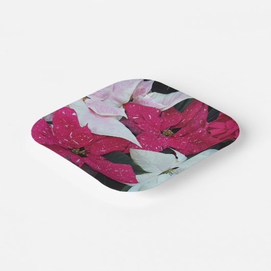 フェスティバルホリデーポインセティアスフローラ ペーパープレート (傾斜あり)