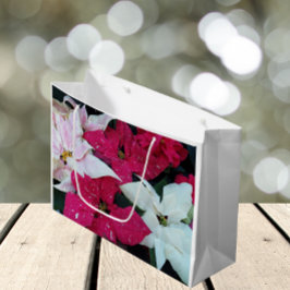 フェスティバルホリデーポインセティアスフローラ ラージペーパーバッグ