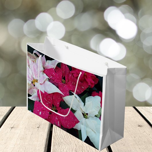 フェスティバルホリデーポインセティアスフローラ ラージペーパーバッグ