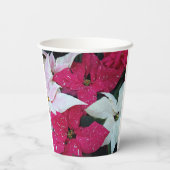 フェスティバルホリデーポインセティアスフローラ 紙コップ (裏面)