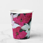 フェスティバルホリデーポインセティアスフローラ 紙コップ (正面)