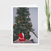 フェスティバルホワイトキッテンアンドサンタポートレート カード (正面)